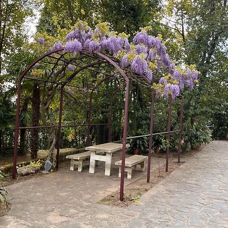 Santa Chiara - Vista Con Piscina Apartamento