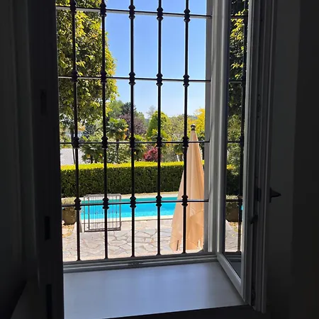 Apartment Santa Chiara - Vista Con Piscina