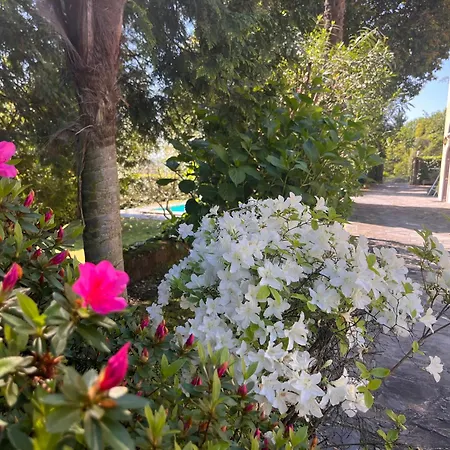 Apartamento Santa Chiara - Vista Con Piscina