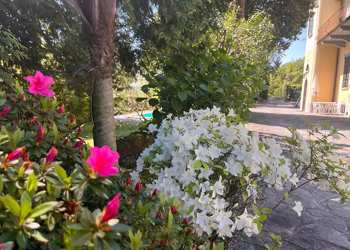 Apartamento Santa Chiara - Vista Con Piscina